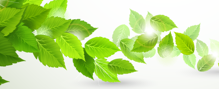 ISO 14001 ISO 14001