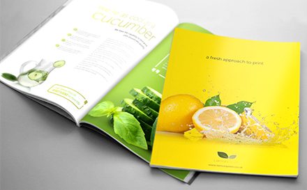 Which printed marketing materials do you need? Which printed marketing materials do you need?